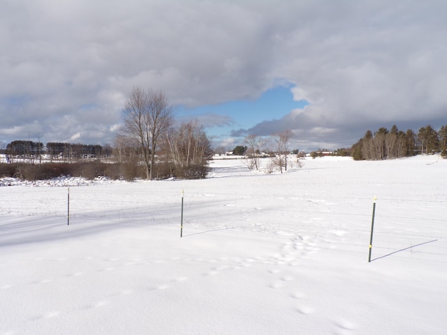 view of snowy yard