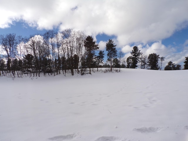 view of snowy yard