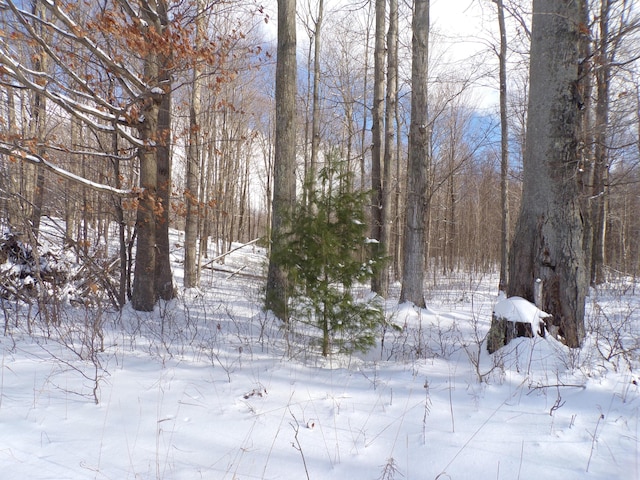 view of snow covered land