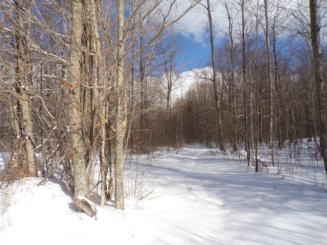 view of snowy landscape