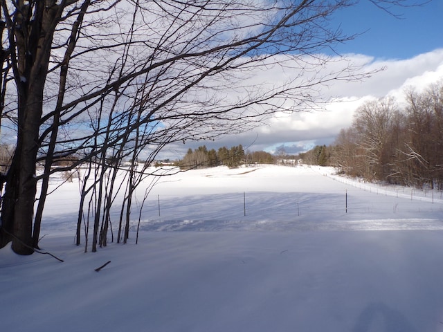 view of yard layered in snow