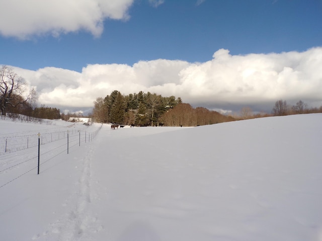 yard covered in snow featuring a rural view