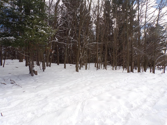 view of snowy view