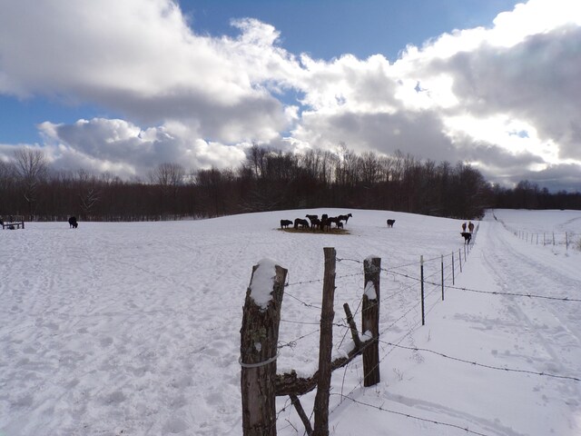 yard covered in snow with a rural view