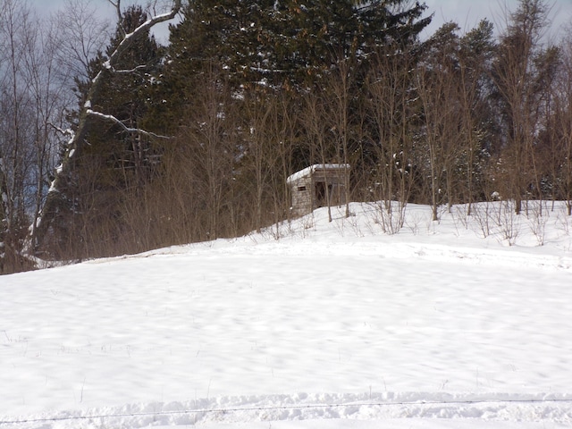 view of snowy yard