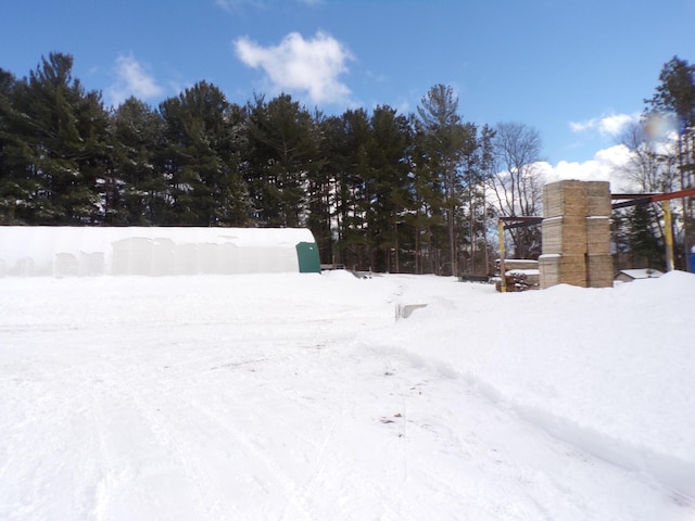 view of yard covered in snow