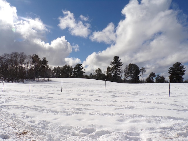 view of yard covered in snow