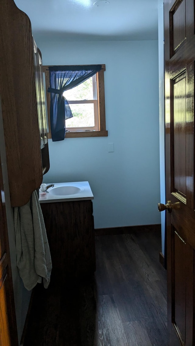 bathroom with sink and hardwood / wood-style floors