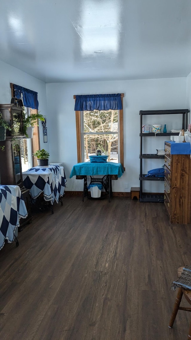 interior space with dark hardwood / wood-style floors