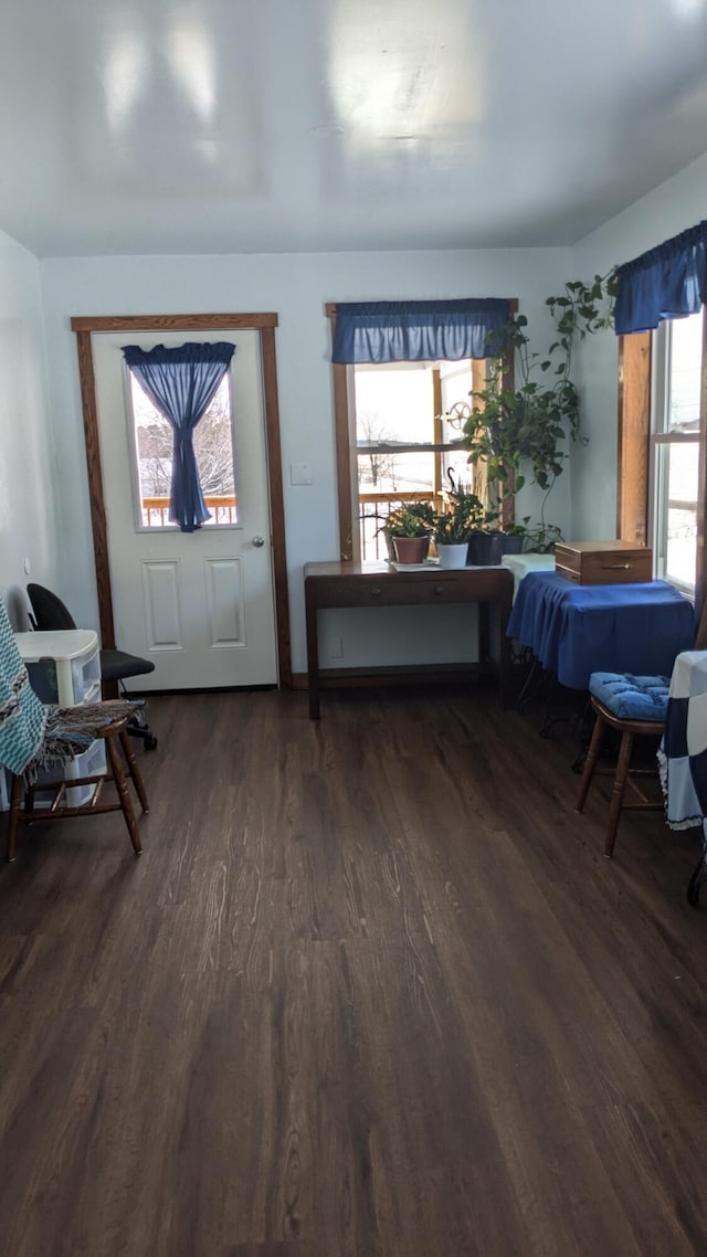 entrance foyer with dark wood-type flooring