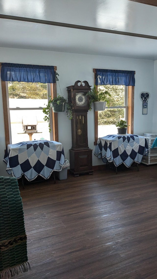 interior space featuring dark hardwood / wood-style flooring