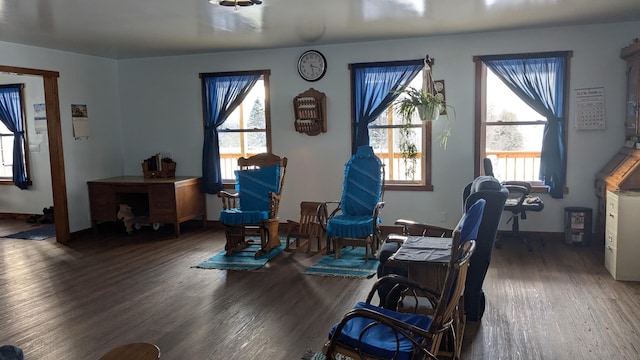 living area featuring dark hardwood / wood-style floors