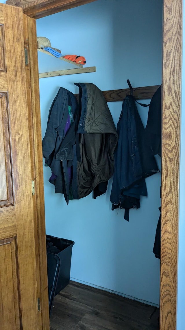 mudroom with dark hardwood / wood-style flooring