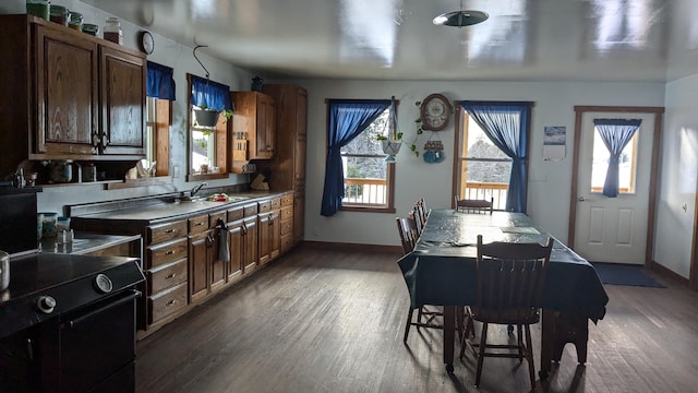 kitchen with sink and dark hardwood / wood-style floors