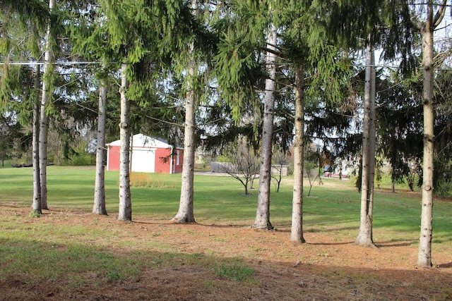 9370 Moon Rd, Saline, MI 48176 - view of green lawn with an outbuilding