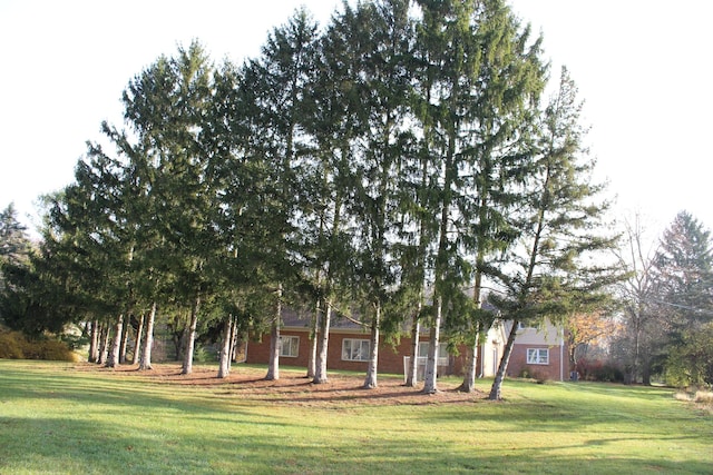 9370 Moon Rd, Saline, MI 48176 - view of property hidden behind natural elements featuring a front lawn