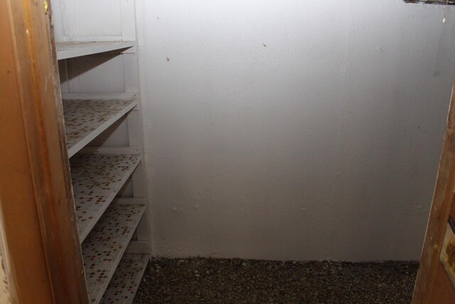 9370 Moon Rd, Saline, MI 48176 - view of storage room
