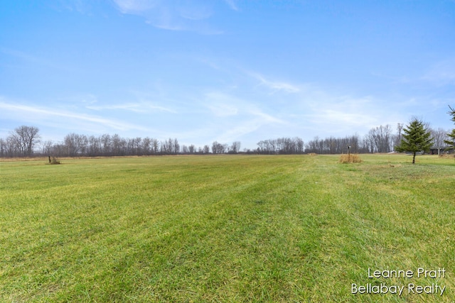 view of yard with a rural view