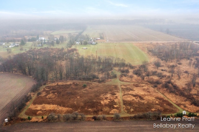 bird's eye view with a rural view