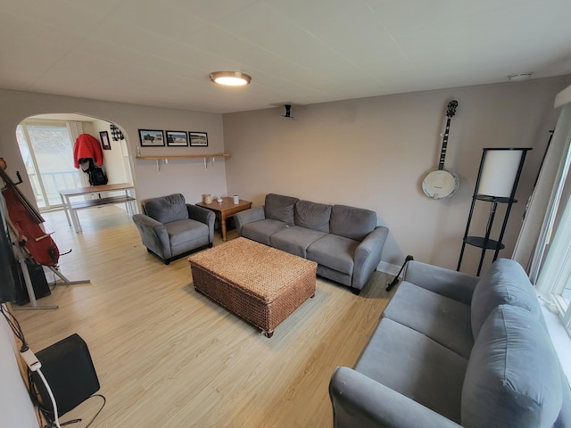 living room with wood-type flooring