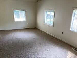 spare room featuring carpet floors and a healthy amount of sunlight