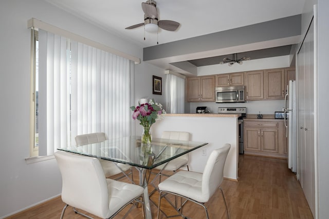 dining area featuring ceiling fan and light hardwood / wood-style flooring