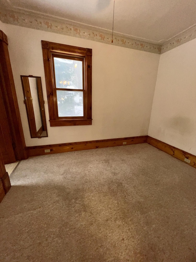 unfurnished room with carpet flooring