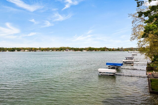 23542 S Shore Dr, Edwardsburg, MI 49112 - photo 31
