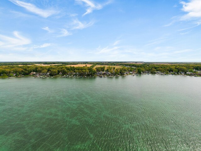 23542 S Shore Dr, Edwardsburg, MI 49112 - photo 34