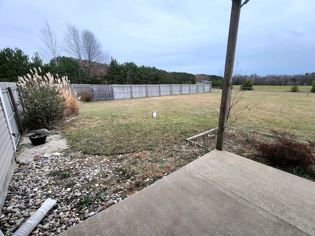 view of yard featuring a patio