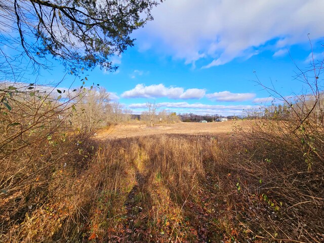 view of local wilderness with a rural view