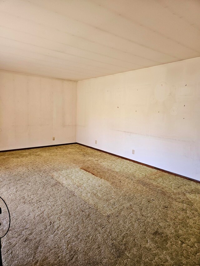 empty room featuring carpet