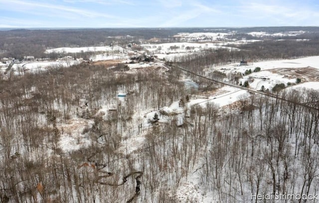 view of snowy aerial view