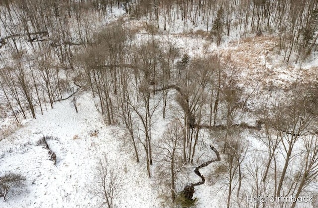 view of snowy aerial view