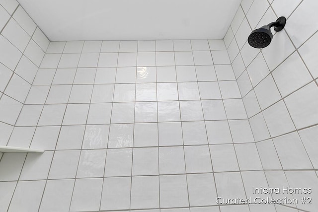 interior details with tiled shower