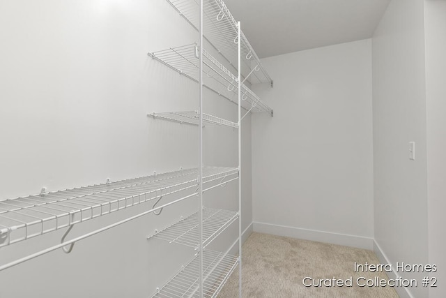 spacious closet with carpet