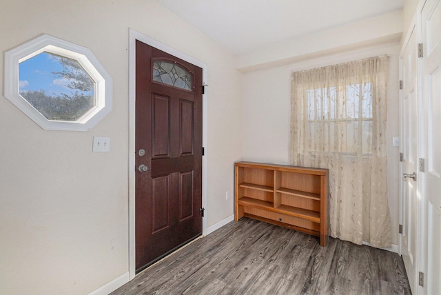 foyer with hardwood / wood-style flooring and plenty of natural light