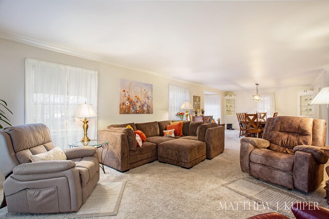 carpeted living room with plenty of natural light and crown molding