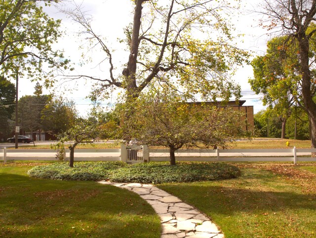 view of community with a yard