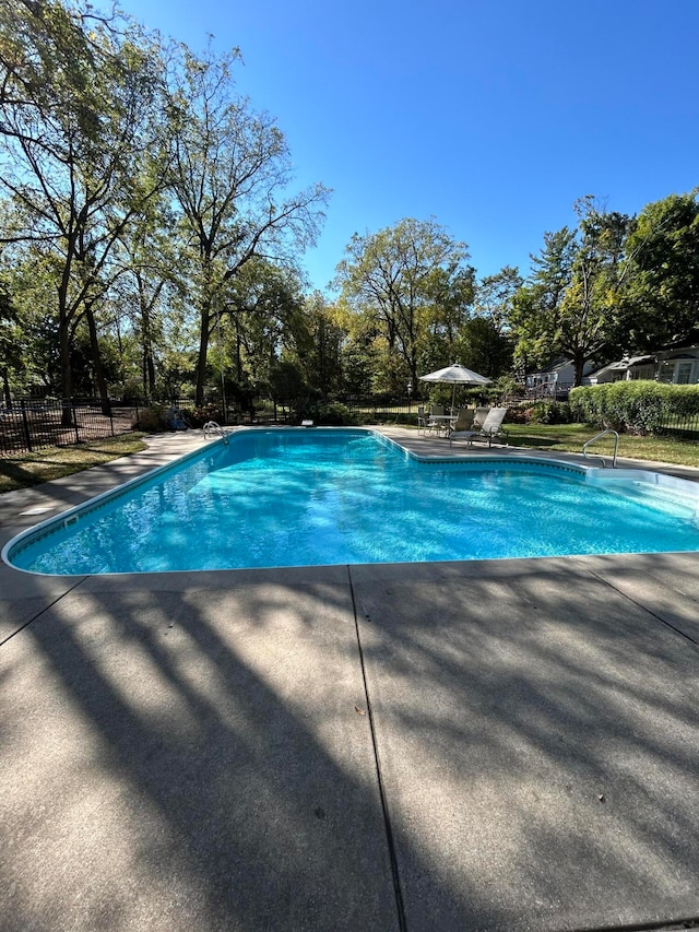 view of swimming pool with a patio area