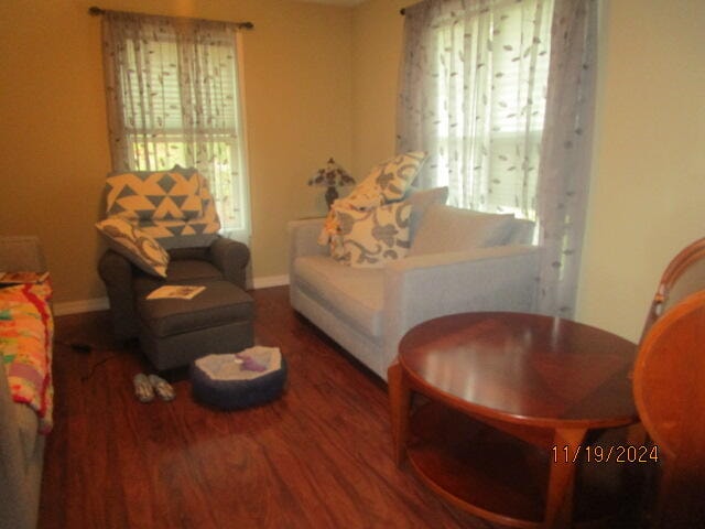 living room with wood-type flooring