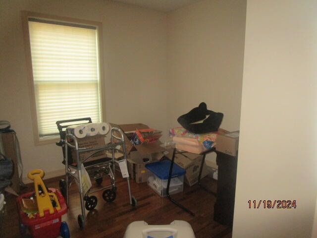 misc room with plenty of natural light and dark hardwood / wood-style flooring