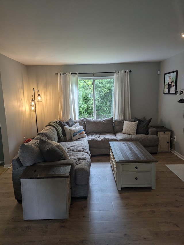 living room featuring hardwood / wood-style floors