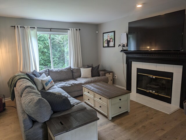 living room with a fireplace and hardwood / wood-style flooring