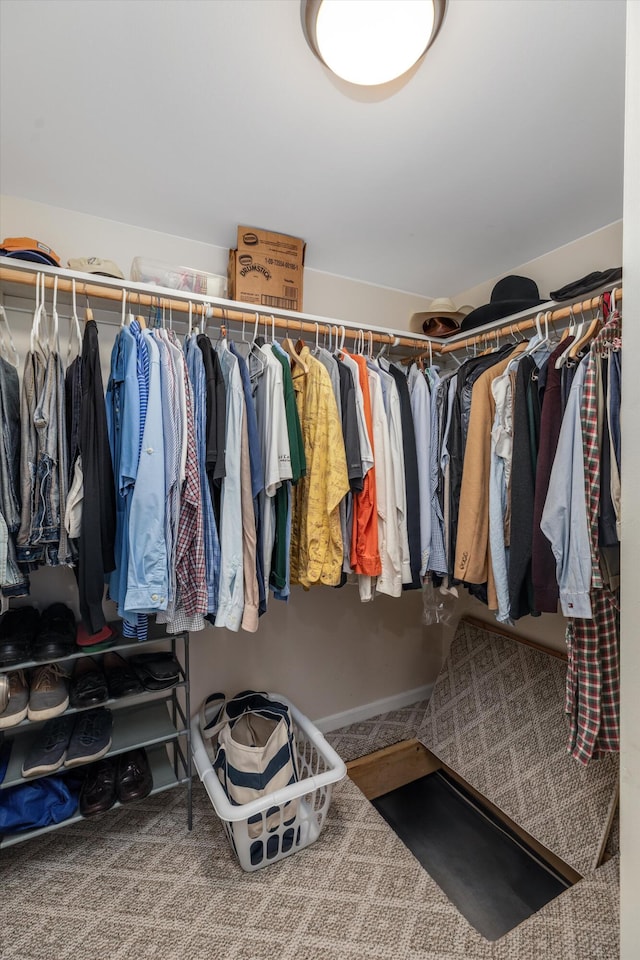 spacious closet featuring carpet