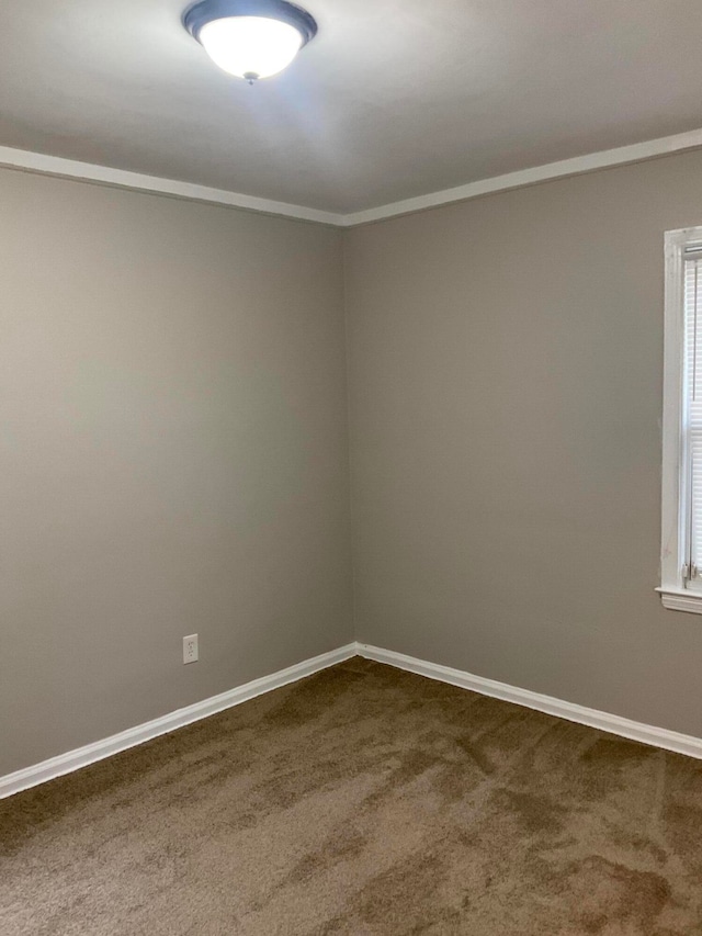 unfurnished room featuring crown molding and carpet floors