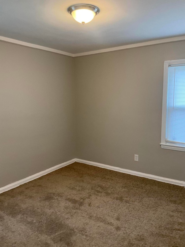 spare room with crown molding and carpet floors