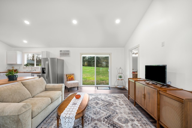 living room with lofted ceiling, dark wood-type flooring, and sink