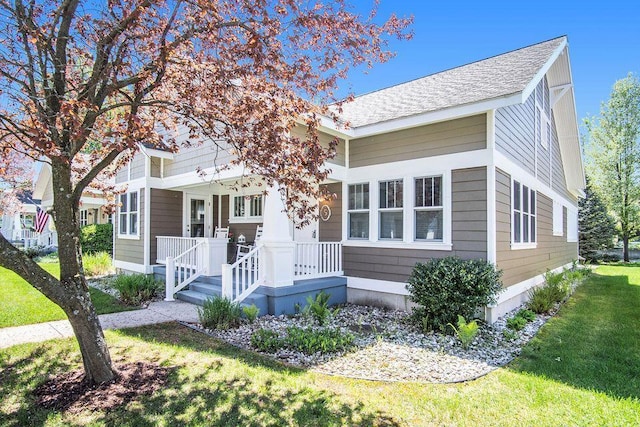 view of front of property featuring a front lawn, a porch, and a shingled roof