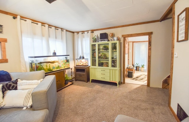 living area with light colored carpet, plenty of natural light, and crown molding